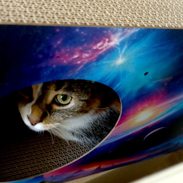 drapak kosmos, drapak dla kota kosmos, przestrzeń kosmiczna, prom kosmiczny dla kota, Drapak XL Kosmos
