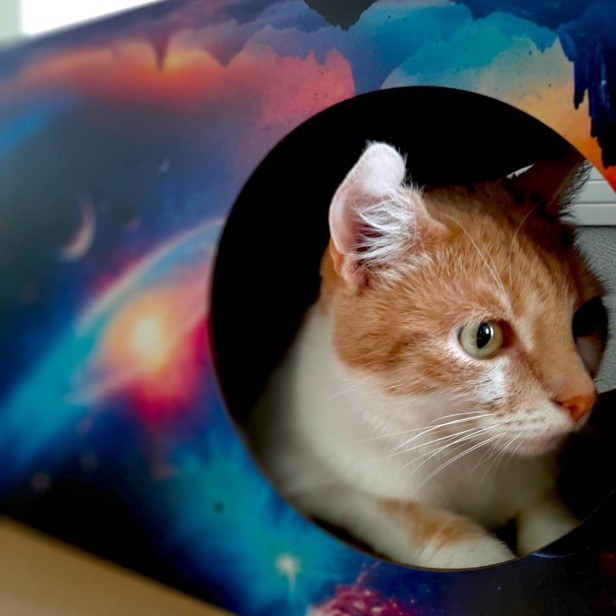 drapak kosmos, drapak dla kota kosmos, przestrzeń kosmiczna, prom kosmiczny dla kota, Drapak XL Kosmos