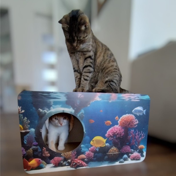 akwarium dla kota, drapak aqua, aqua, drapak dla kota z rybkami, jak ryba w wodzie, kot akwairum, drapak xxl aqua
