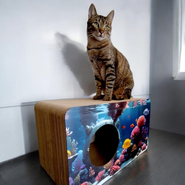 akwarium dla kota, drapak aqua, aqua, drapak dla kota z rybkami, jak ryba w wodzie, kot akwairum, drapak xxl aqua