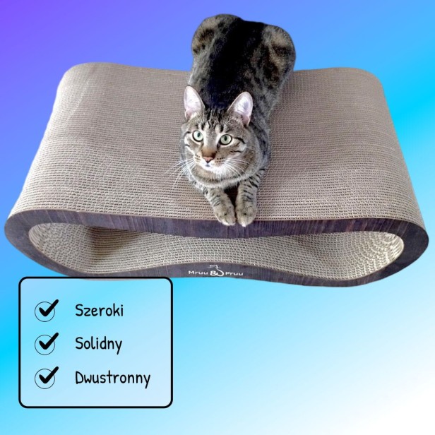 drapak xxl, drapak dla kota xxl, wielkie drapaki, drapak dla kota, Drapak Xxl kolorowy, kolorowy drapak