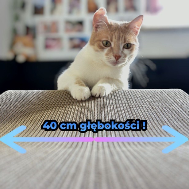 drapak xxl, drapak dla kota xxl, wielkie drapaki, drapak dla kota, Drapak Xxl kolorowy, kolorowy drapak