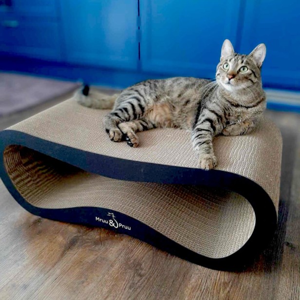 drapak xxl, drapak dla kota xxl, wielkie drapaki, drapak dla kota, Drapak Xxl kolorowy, kolorowy drapak