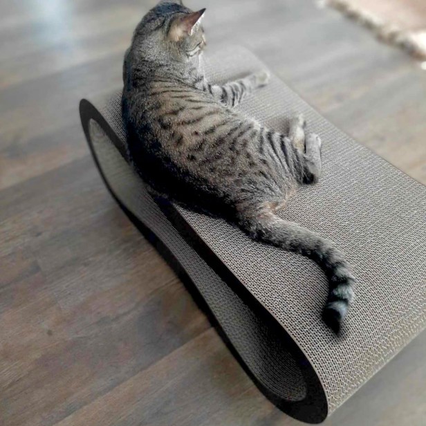 drapak xxl, drapak dla kota xxl, wielkie drapaki, drapak dla kota, Drapak Xxl kolorowy, kolorowy drapak