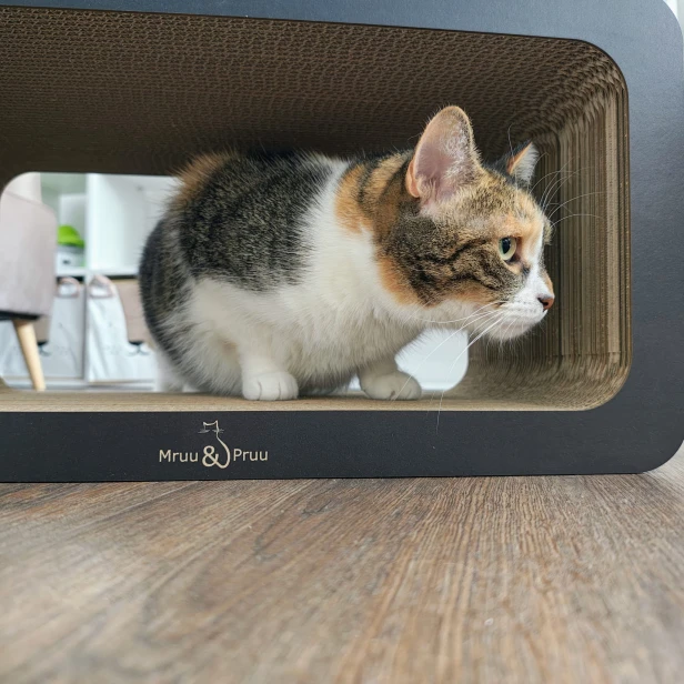 Drapak Prostokąt XL Czarny, mruupruu drapak, tani drapak, prostokąt średni, prostokąt drapak