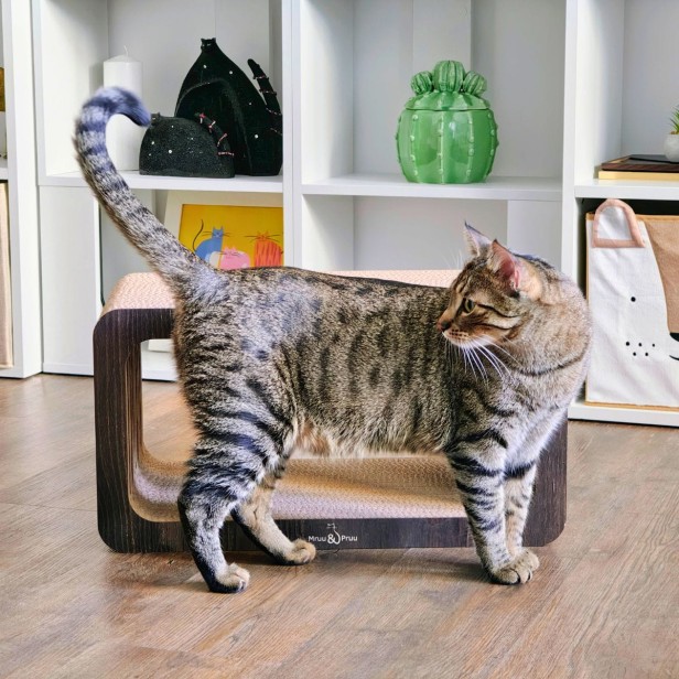 Projekt bez nazwy (8).jpg