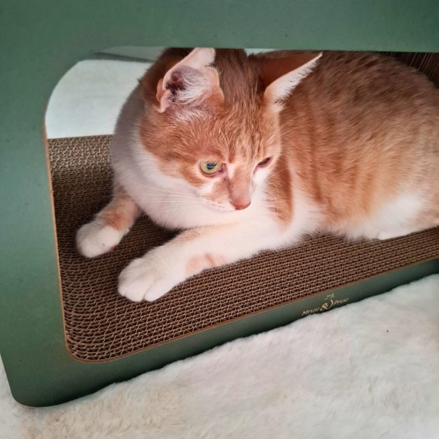 Drapak prostokąt zielony, drapak z tektury mru, mrumru drapak dla kota, tekturowy drapak dla kota