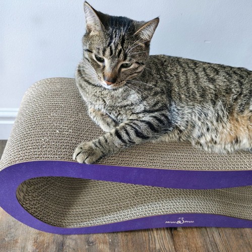 drapak kartonowy mru