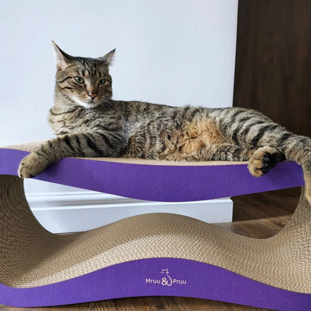 drapak dla kota fiolotowy mruupruu, mruu&pruu