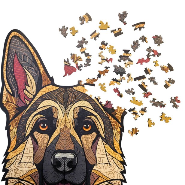 Complete set of wooden puzzles German Shepherd - assembled picture, box, and special pieces.