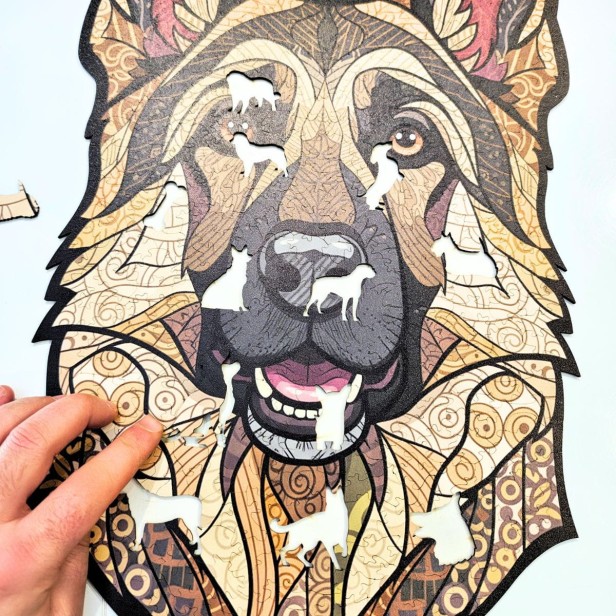 Complete set of wooden puzzles German Shepherd - assembled picture, box, and special pieces.