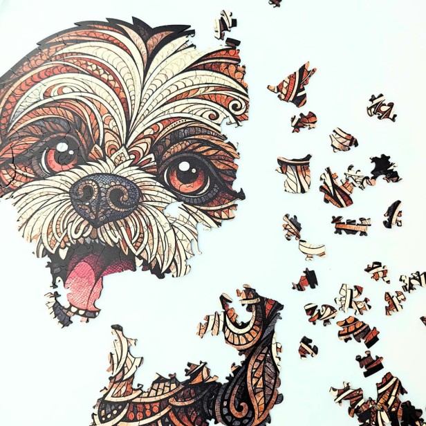 cute dog, shih tzu dog, Maltese dog, dog puzzle, wooden dog puzzle
