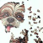 cute dog, shih tzu dog, Maltese dog, dog puzzle, wooden dog puzzle