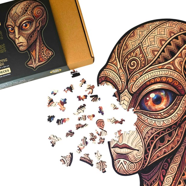 wooden UFO jigsaw puzzles, UFO jigsaw puzzles, alien jigsaw puzzles, jigsaw puzzles featuring irregularly shaped UFOs