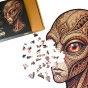 wooden UFO jigsaw puzzles, UFO jigsaw puzzles, alien jigsaw puzzles, jigsaw puzzles featuring irregularly shaped UFOs