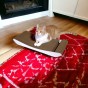 PREMIUM white cardboard cat scratcher, premium cat scratcher, eco-friendly cat scratcher, white cat scratcher , cat scratcher