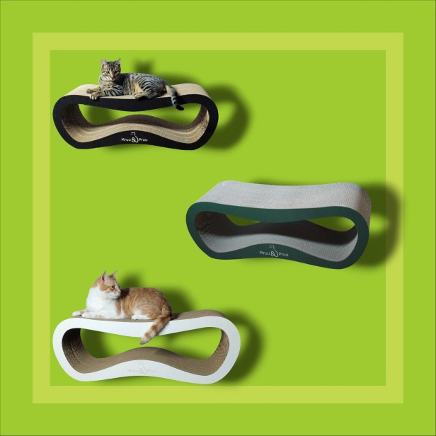 IMG_20231014_154542167-PhotoRoom (1).jpg